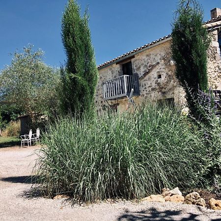Le Gite De La Maison Des Chats - Gite En Quercy Saint-Amans-du-Pech Exterior photo